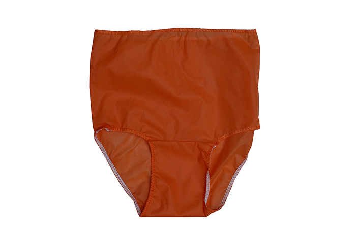 Disposable Underwear for Women
