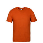 Classic 100% Cotton T-Shirts – Perfect Fit